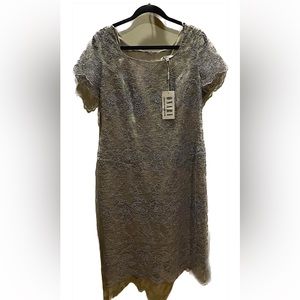NWT Lace type dress